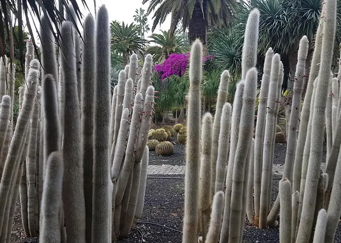Casa de huéspedes: Casa Tortuga