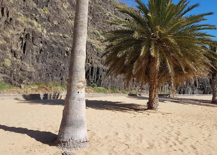 Casa Tortuga